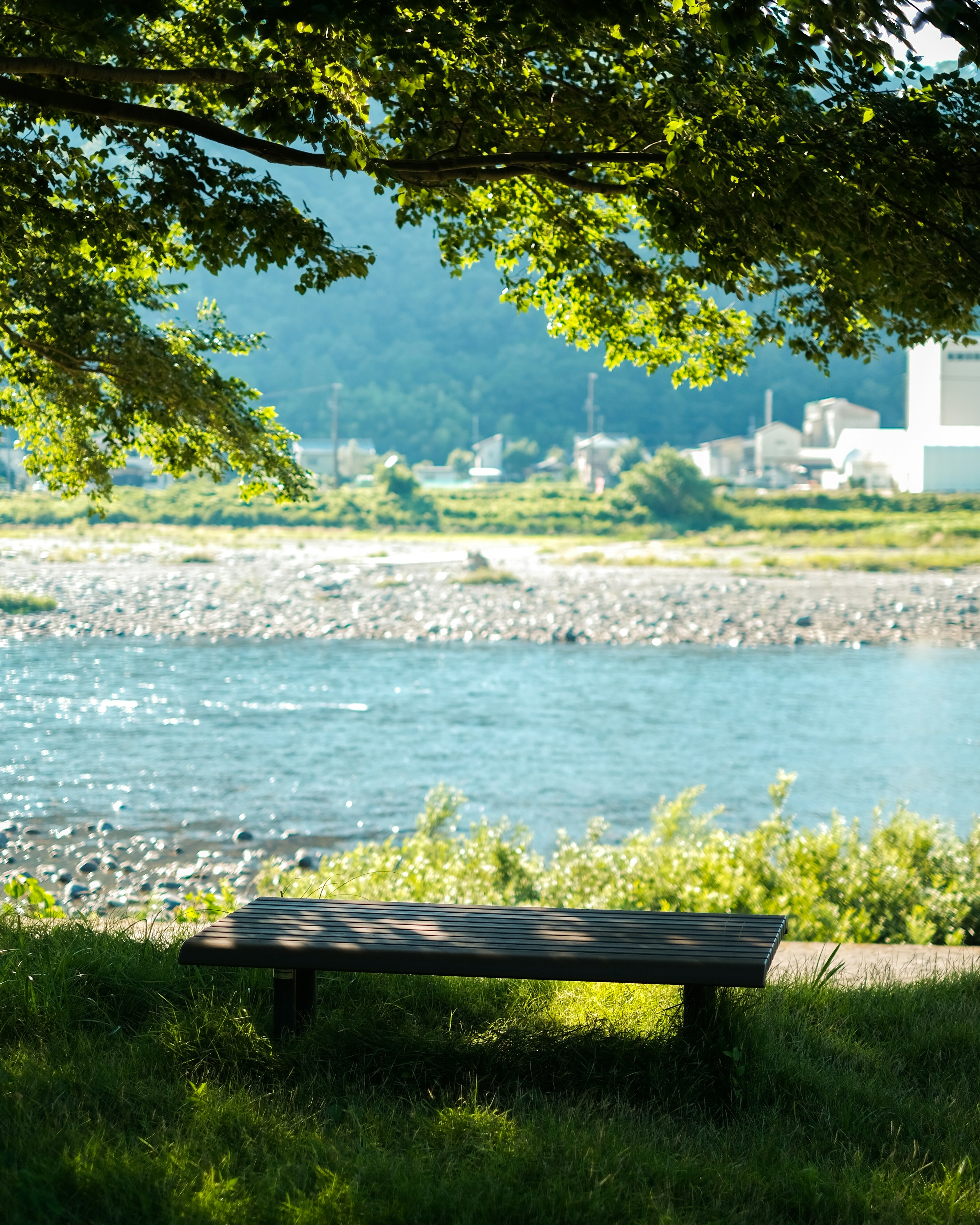 Bench by a blue river with green trees and city buildings in the background